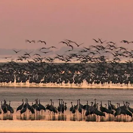 Lägenhet Ferienwohnung Seebriese *