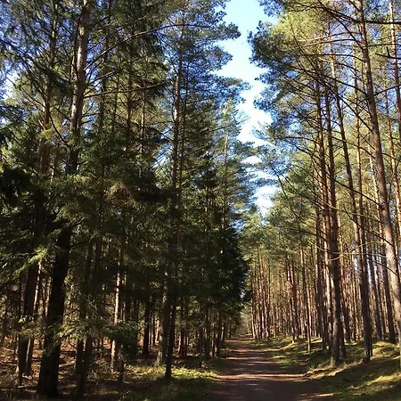 Apartment Ferienwohnung Seebriese